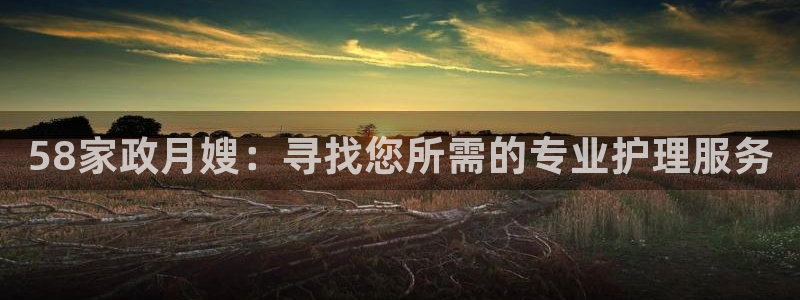 杏悦娱乐是什么