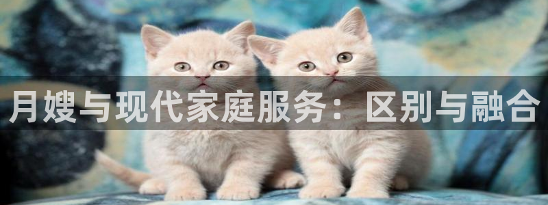 杏悦平台代理怎么做的