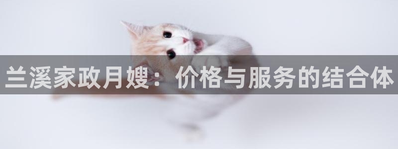 杏悦官网登录入口网址是什么