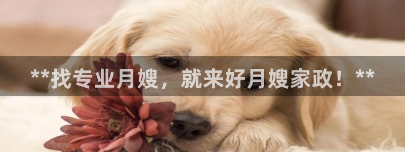 杏悦官方平台官网