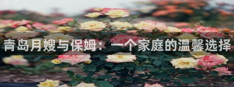 杏悦平台代理怎么样啊