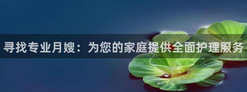 杏悦平台代理怎么样