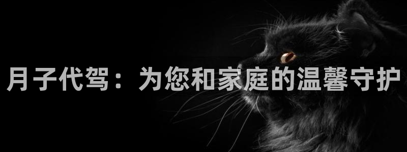 杏悦平台代理怎么样赚钱