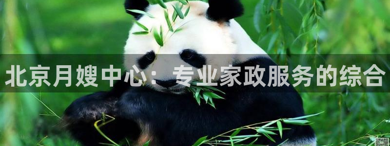 杏悦官方平台官网下载