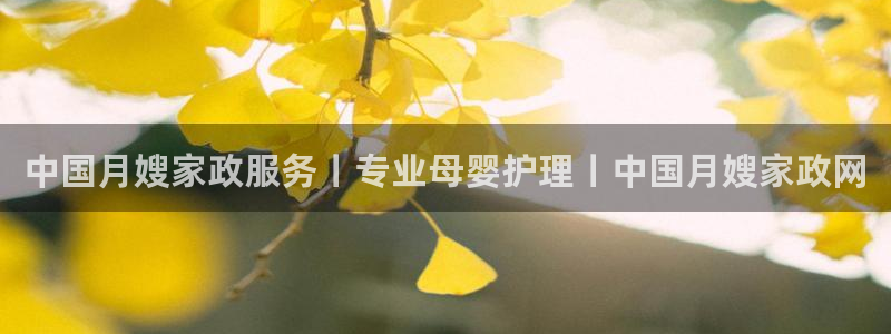 杏悦官网登录入口网址