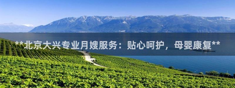 杏悦平台代理注册流程