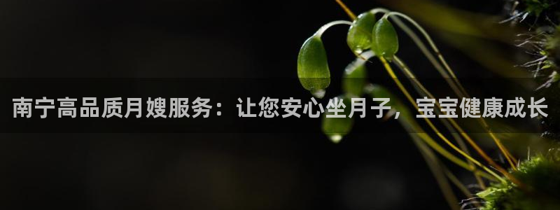 杏悦官网登录入口网址是什么