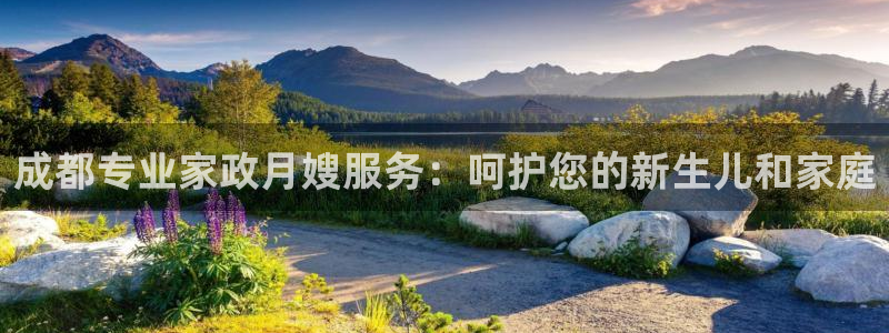 杏悦平台代理怎么赚钱