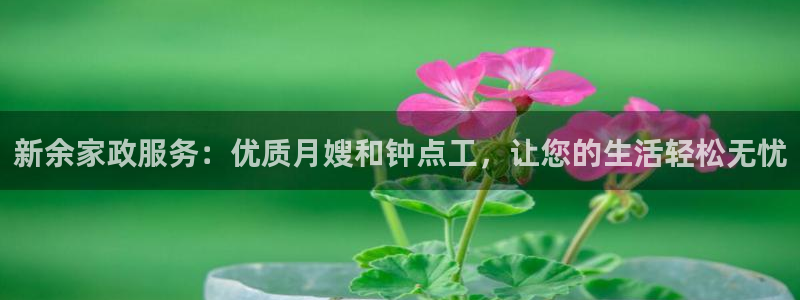 杏悦官网注册信息在哪里