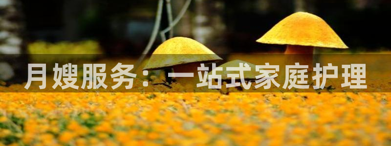 杏悦平台登录地址