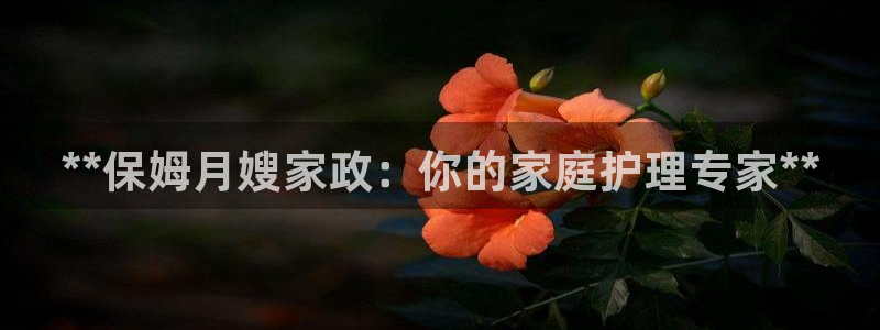 杏悦平台代理注册多少钱