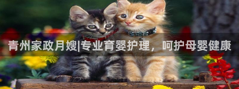 杏悦平台注册地址在哪里