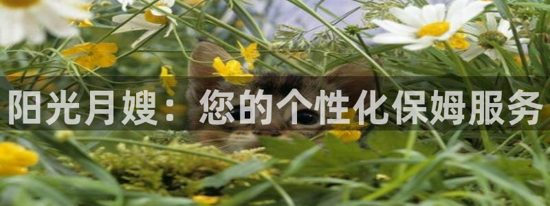 杏悦官网注册信息是什么样的