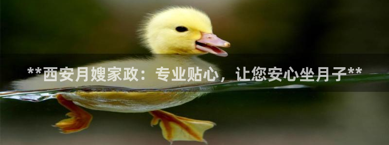 杏悦平台代理怎么样赚钱