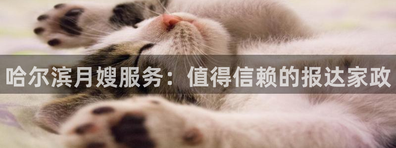 杏悦平台登录入口官网