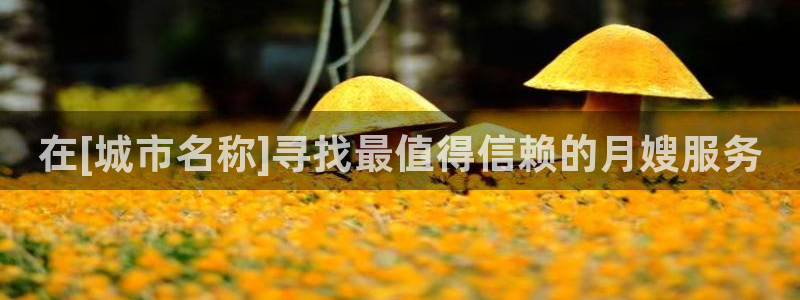 杏悦官网注册信息在哪里看