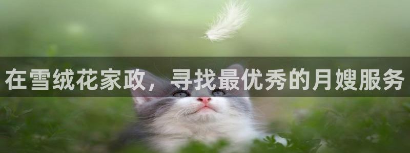 杏悦平台登录网址查询