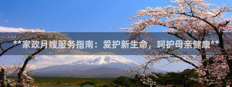 杏悦平台注册地址在哪里