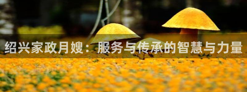 杏悦官网注册信息