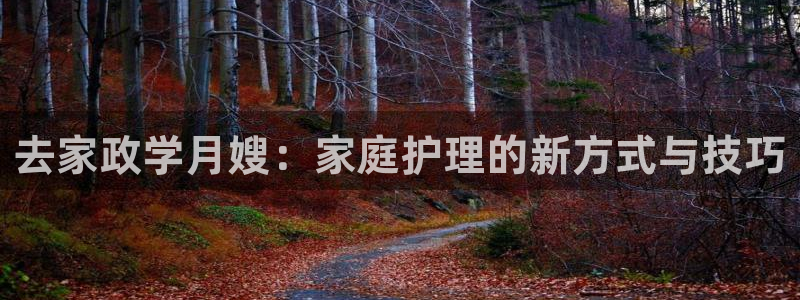 杏悦平台登录网址