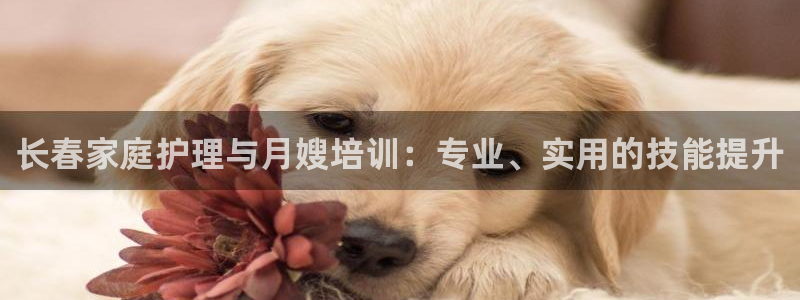 杏悦平台注册网址