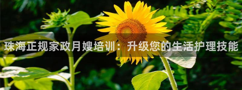 杏悦平台代理注册要钱吗