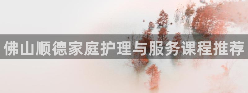 杏悦平台代理注册流程