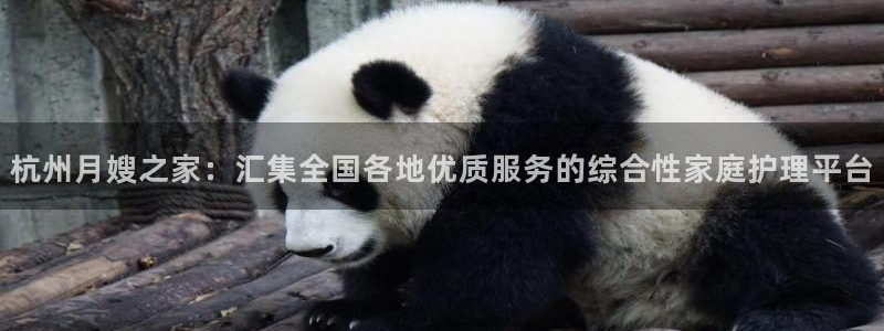 杏悦平台注册地址