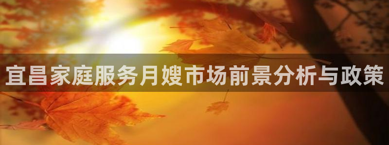 杏悦官网登录入口网址是什么