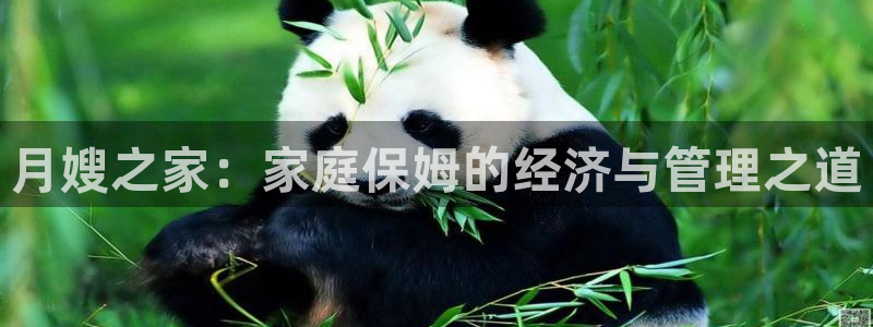 杏悦官网注册信息在哪里查看