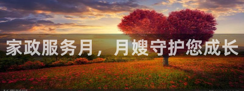 杏悦平台注册流程