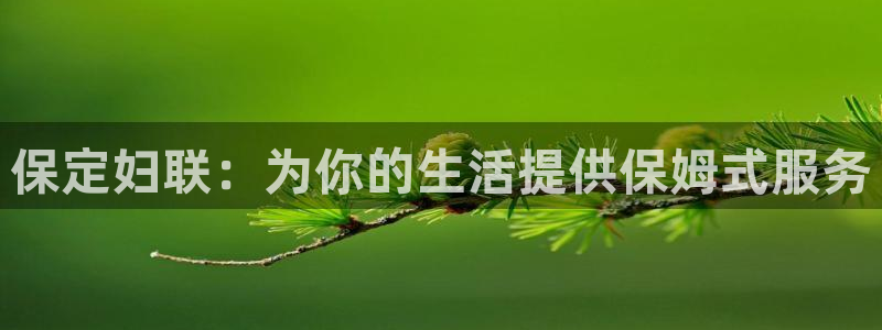 杏悦平台代理怎么做的