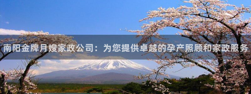 杏悦官网注册信息查询