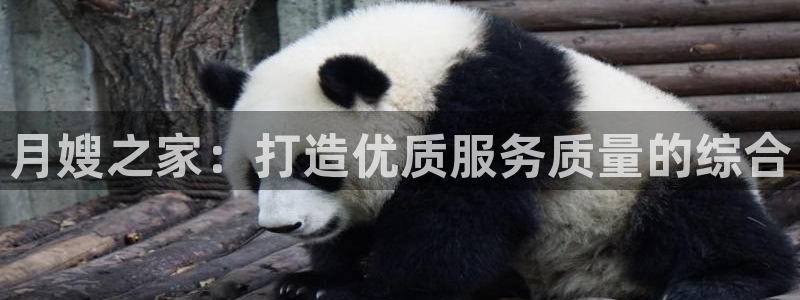 杏悦官方平台是正品吗安全吗