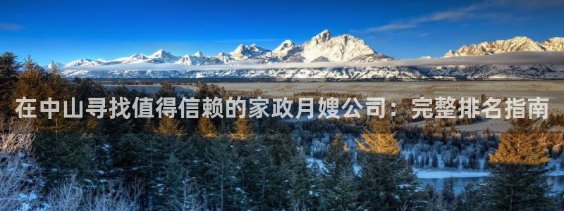 杏悦平台注册流程