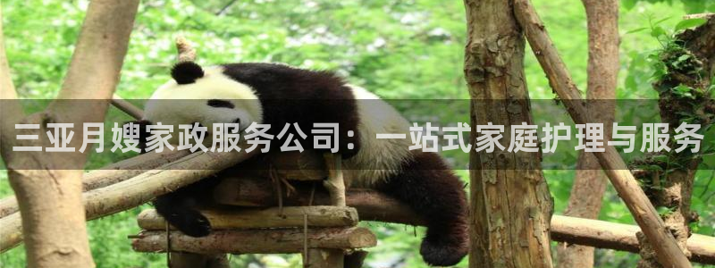 杏悦平台可靠吗可信吗安全吗