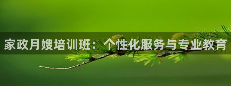 杏悦官方平台官网