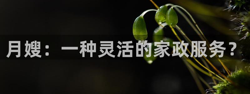 杏悦平台登录网址是多少