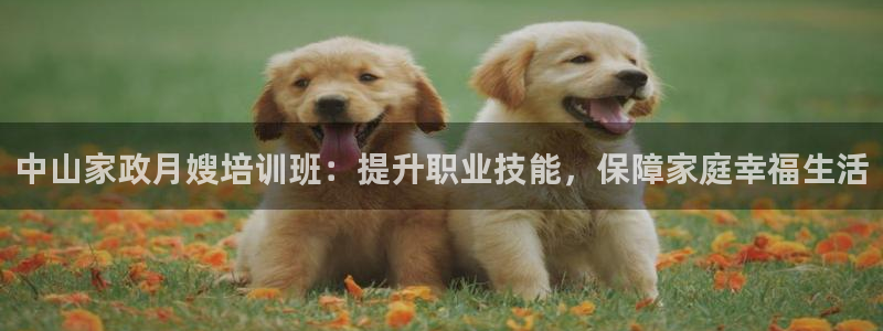 杏悦官网注册信息