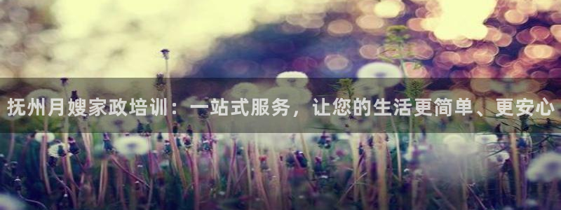 杏悦平台代理怎么做赚钱