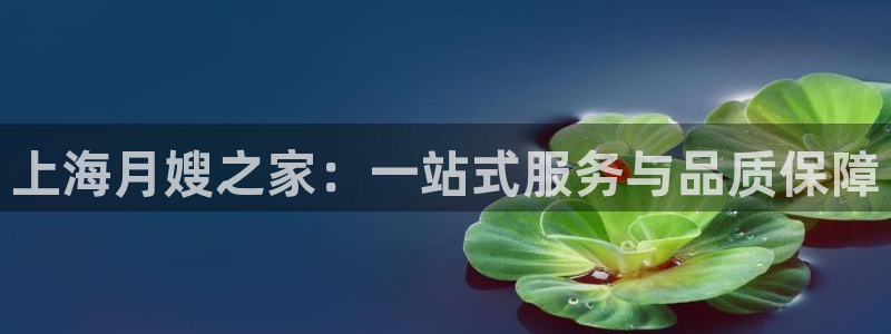 杏悦娱乐注册平台