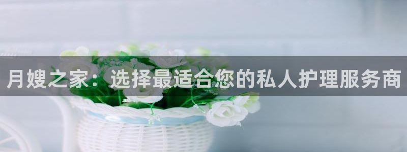 杏悦平台代理注册流程