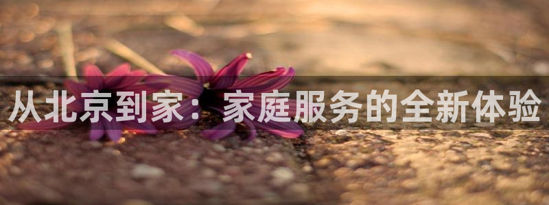 杏悦平台招商电话