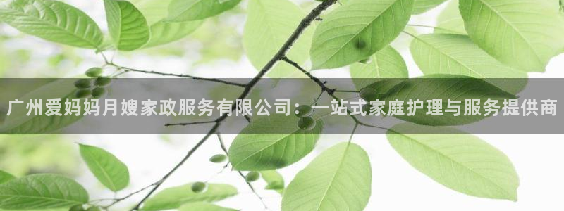杏悦平台注册网址