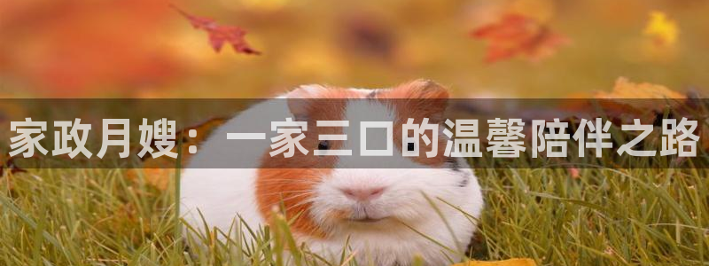 杏悦是什么平台