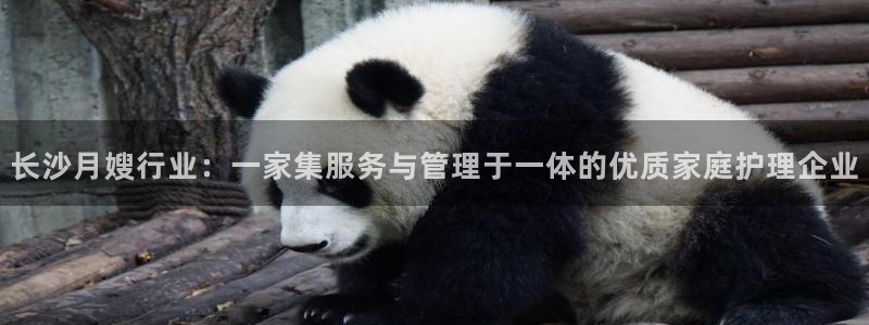 杏悦平台可靠吗可信吗知乎