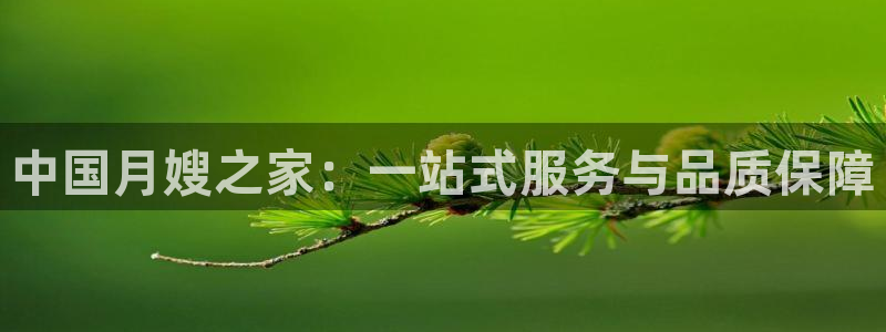 杏悦平台开户地址