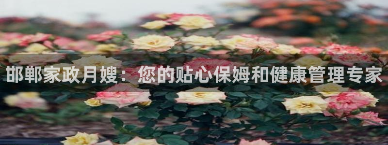 杏悦平台可靠吗是真的吗吗