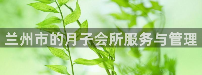 杏悦平台招商电话