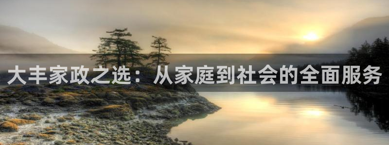 杏悦平台代理注册流程